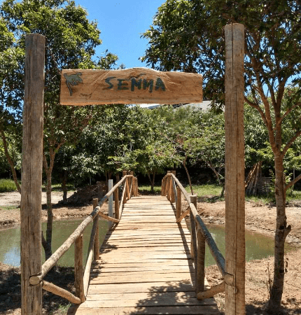 Alerta de Saúde: Parque de Itapemirim Fechado devido à Presença de Carrapato da Febre Maculosa