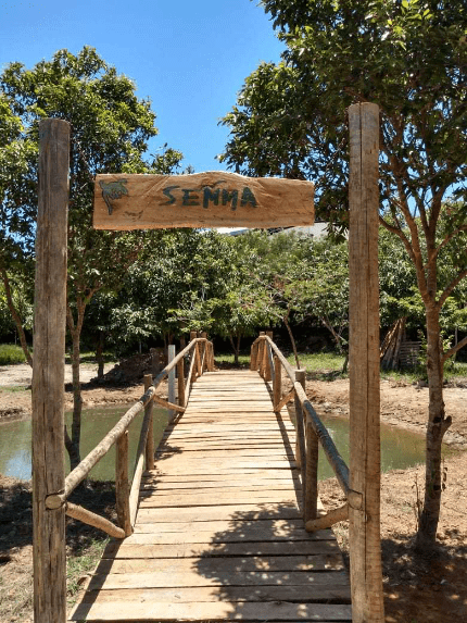 Alerta de Saúde: Parque de Itapemirim Fechado devido à Presença de Carrapato da Febre Maculosa