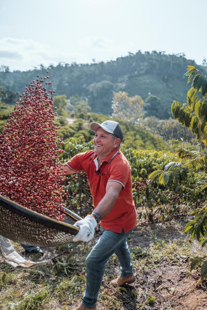 Conquista no Agronegócio: Espírito Santo Alcança Novo Recorde Histórico na Exportação de Café Conilon