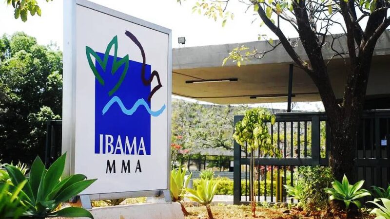 Alerta Ambiental: Ibama Embarga Área no Caparaó devido a Desmatamento Irregular