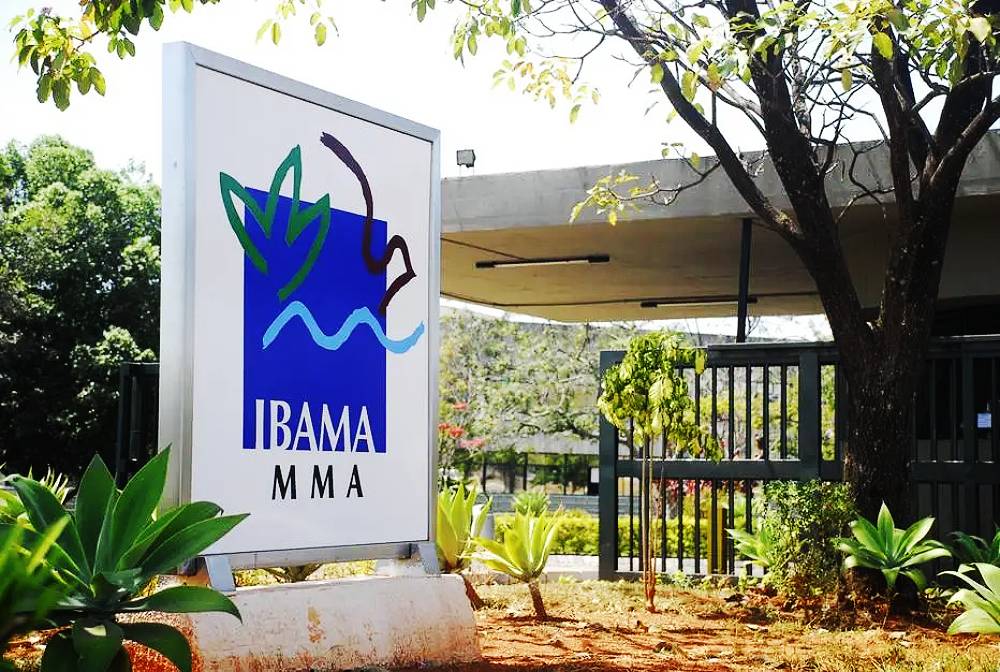 Alerta Ambiental: Ibama Embarga Área no Caparaó devido a Desmatamento Irregular