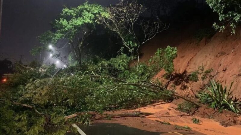 Chuva provoca queda de árvores nas BR’s 101 e 262 no Sul do ES