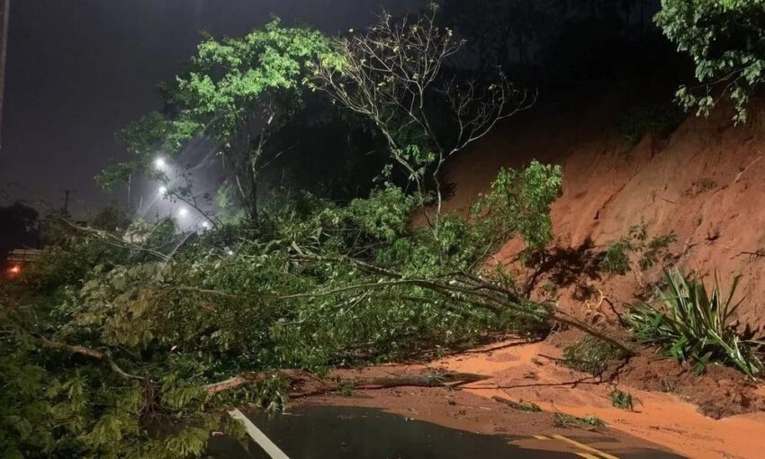 Chuva provoca queda de árvores nas BR’s 101 e 262 no Sul do ES