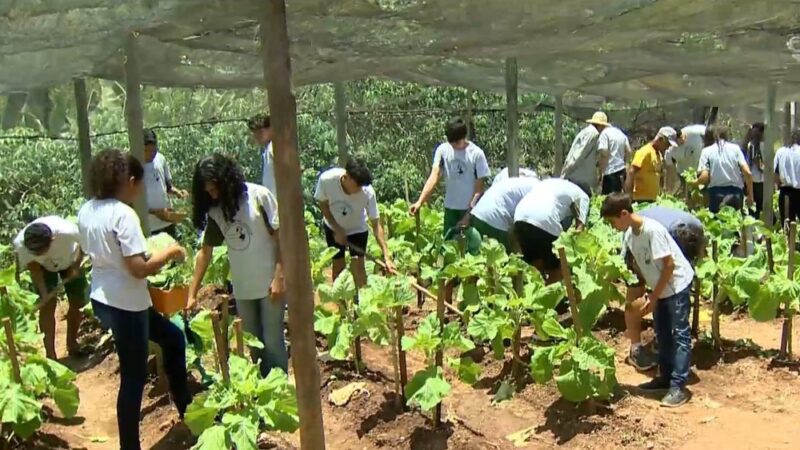 Notas de Esperança: Bombeiro Dedica-se a Ensinar Música para Estudantes em Escola Agrícola do ES