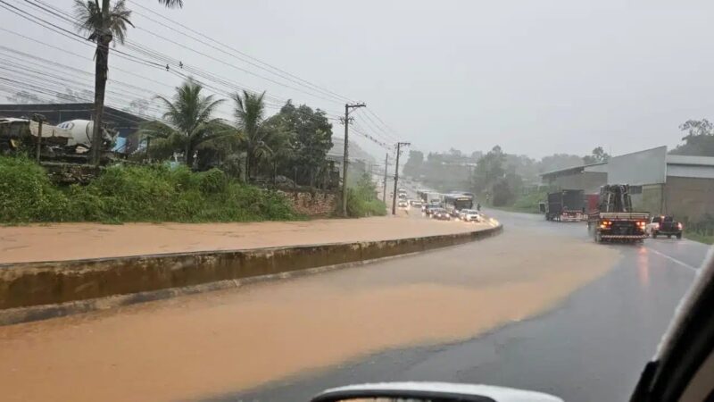 Cachoeiro de Itapemirim sob Impacto das Chuvas: Ruas Inundadas e Queda de Árvores