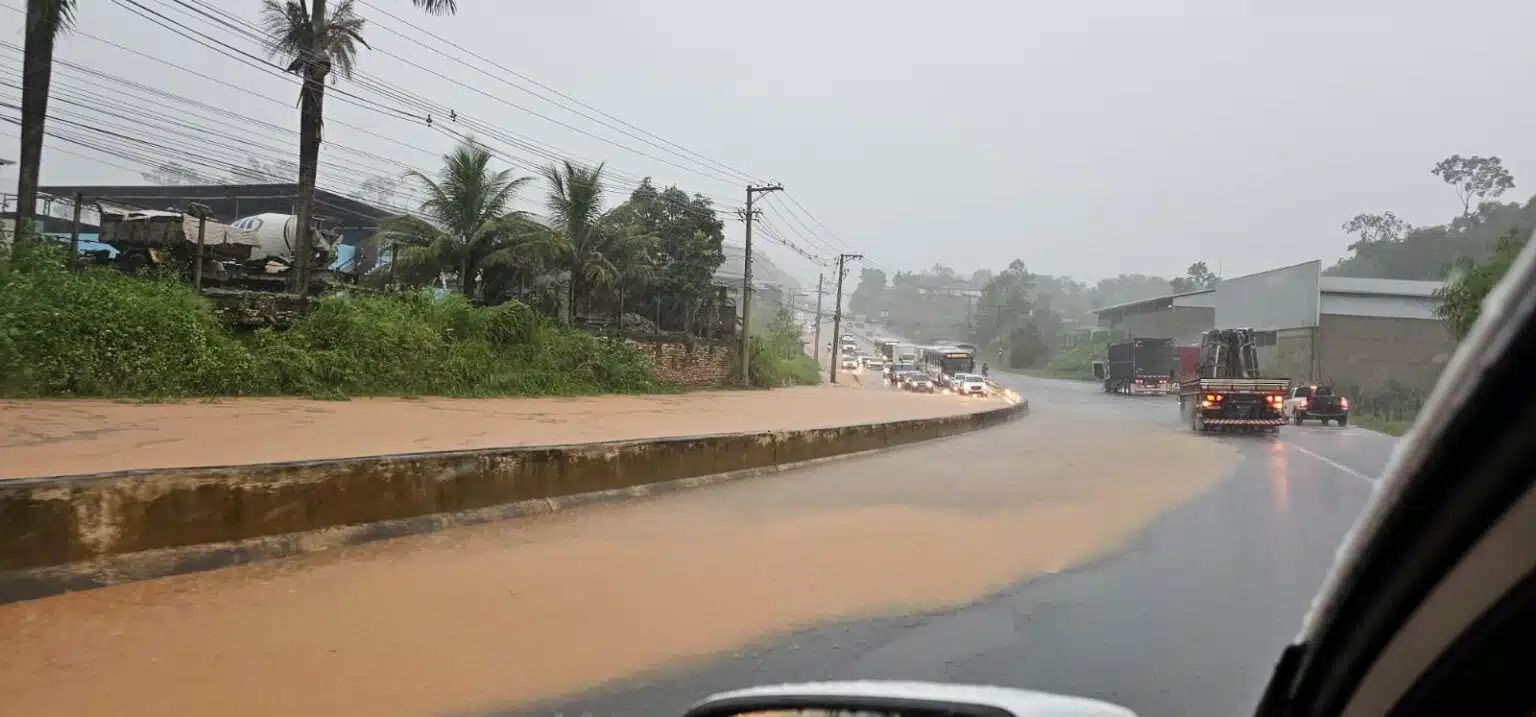 Cachoeiro de Itapemirim sob Impacto das Chuvas: Ruas Inundadas e Queda de Árvores