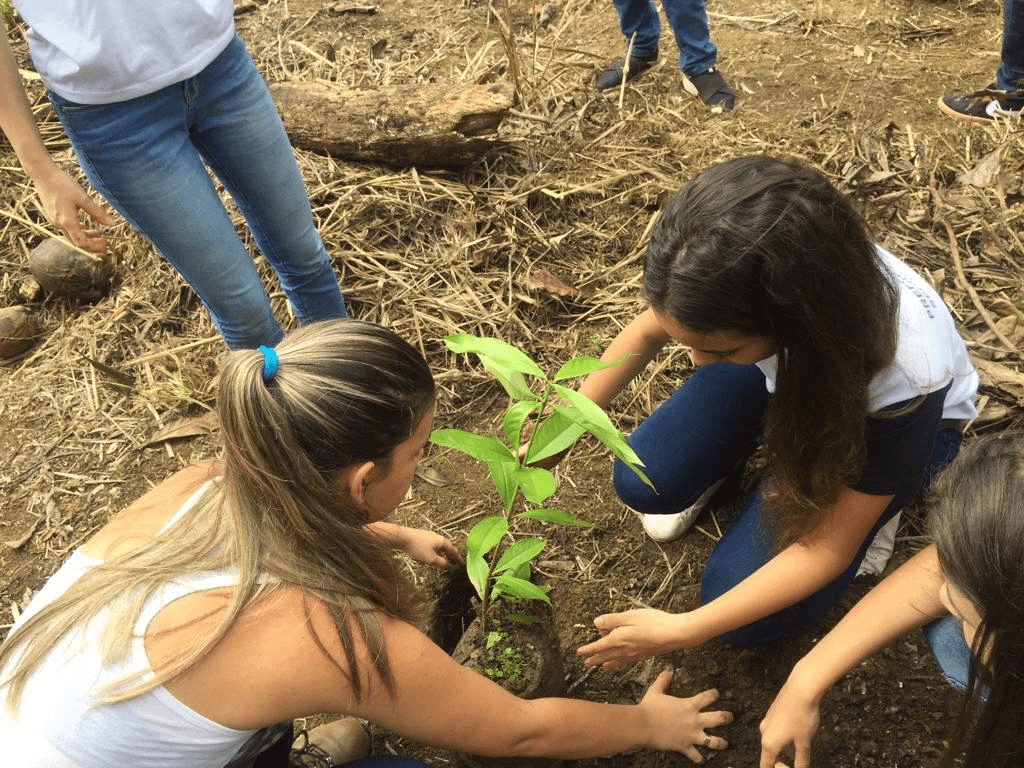 Anchieta: Secretaria do Meio Ambiente Desvenda Suas Metas e Projetos para 2024