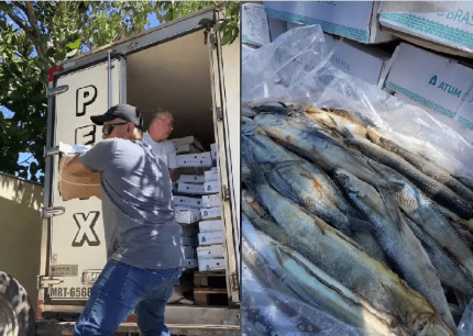 Itapemirim Recebe Doação de Seis Toneladas de Peixes para a Comunidade