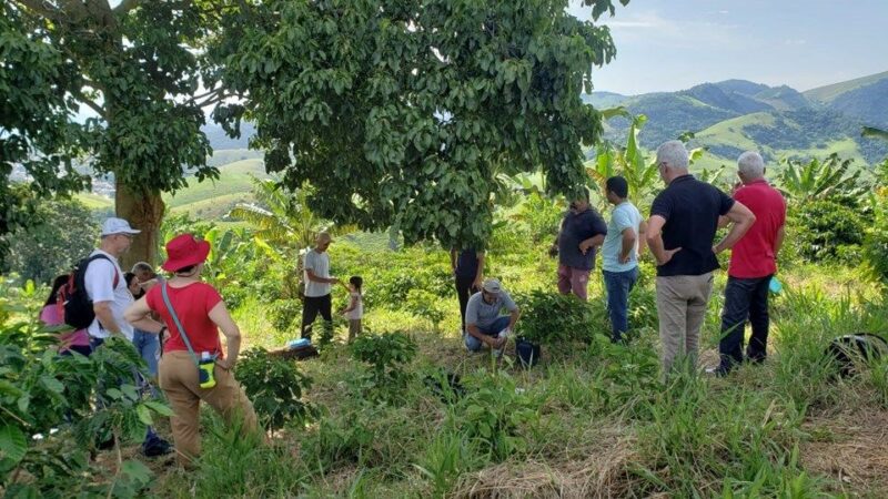 Alegre se torna ponto de encontro para compartilhar conhecimentos sobre Café Arborizado