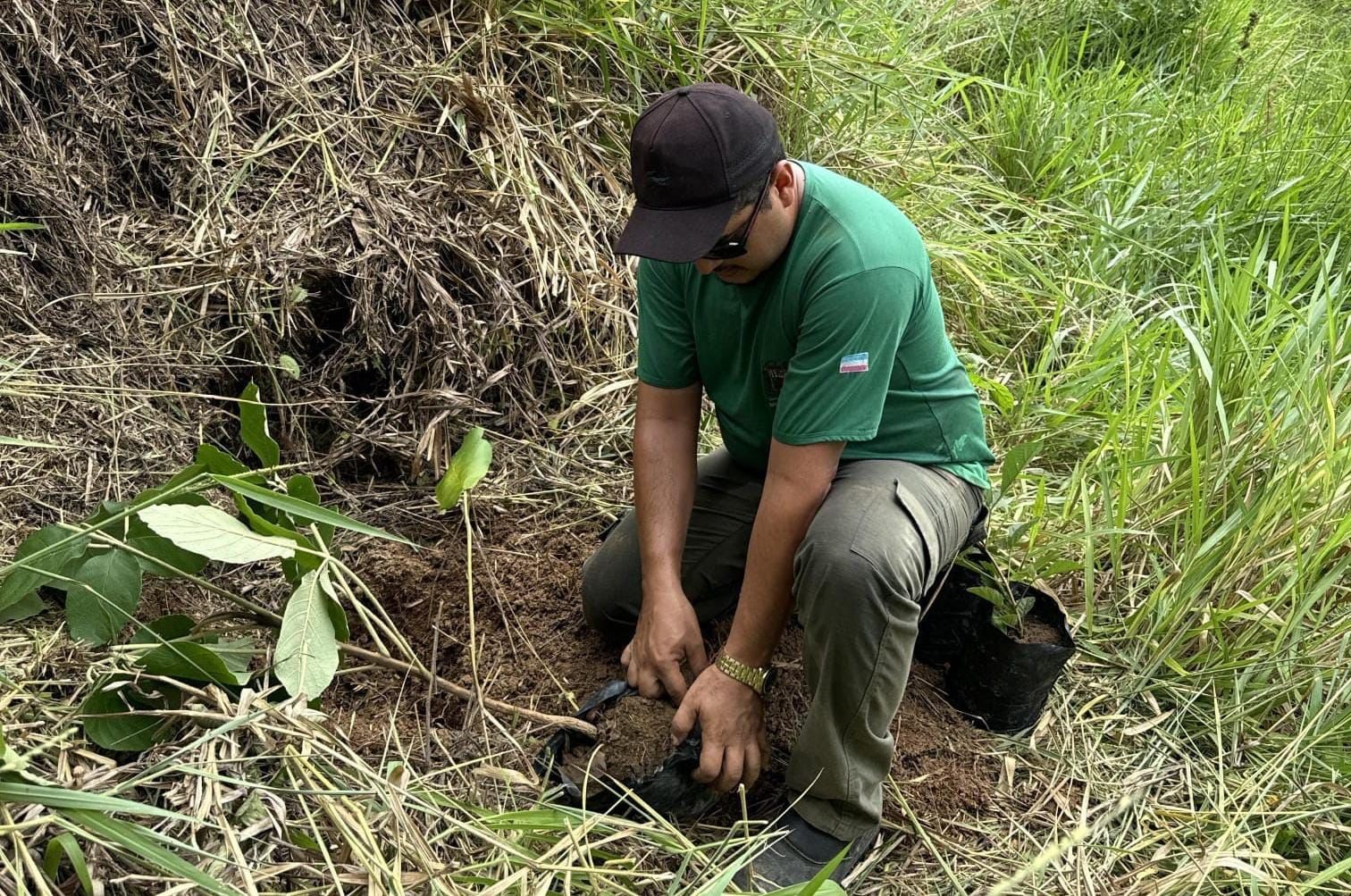 Restauração Ambiental: Nascente do Rio Joeba em Anchieta  é Revitalizada com Plantio de Árvores