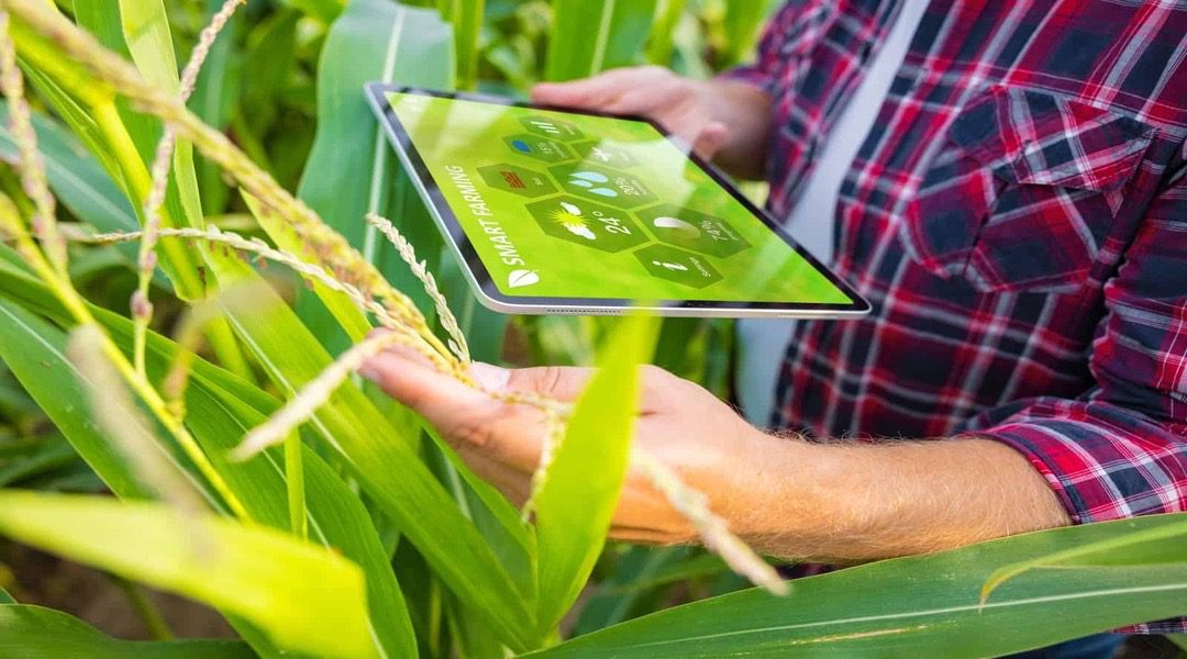 Workshop Estratégico: Alegre e Guaçuí Trabalham na Inovação do Caparaó