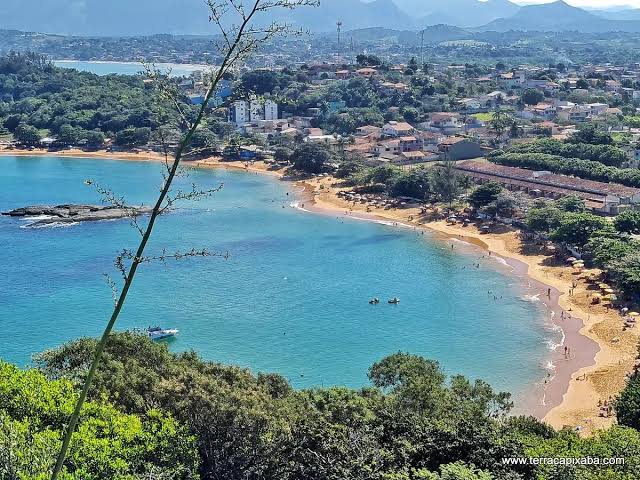 Novo guia sobre peixes recifais da Área Proteção Ambiental de Setiba será lançado na quinta-feira