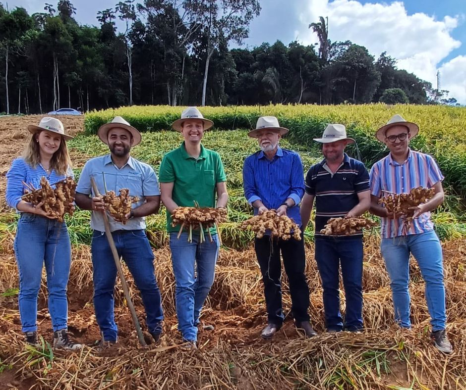 Abertura oficial da safra de 2024 celebra a cultura do gengibre