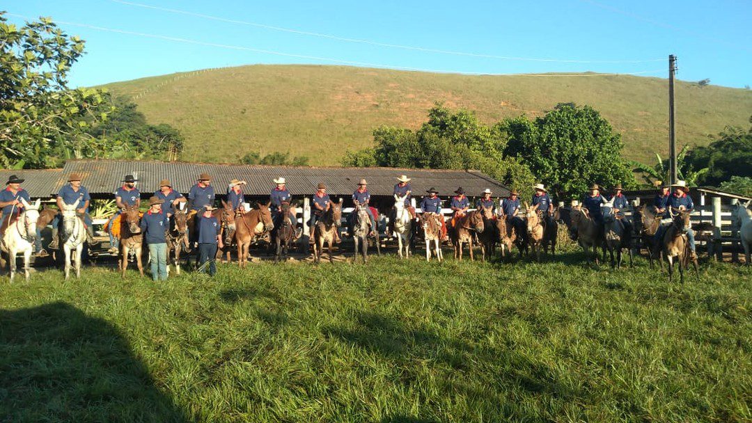 Aventura de Fé: Peregrinos do ES Percorrem 800 km até Aparecida, SP, Montados em Mulas e Burros