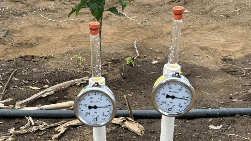 Novas Unidades Demonstrativas Promovem Irrigação Sustentável na Cafeicultura Capixaba