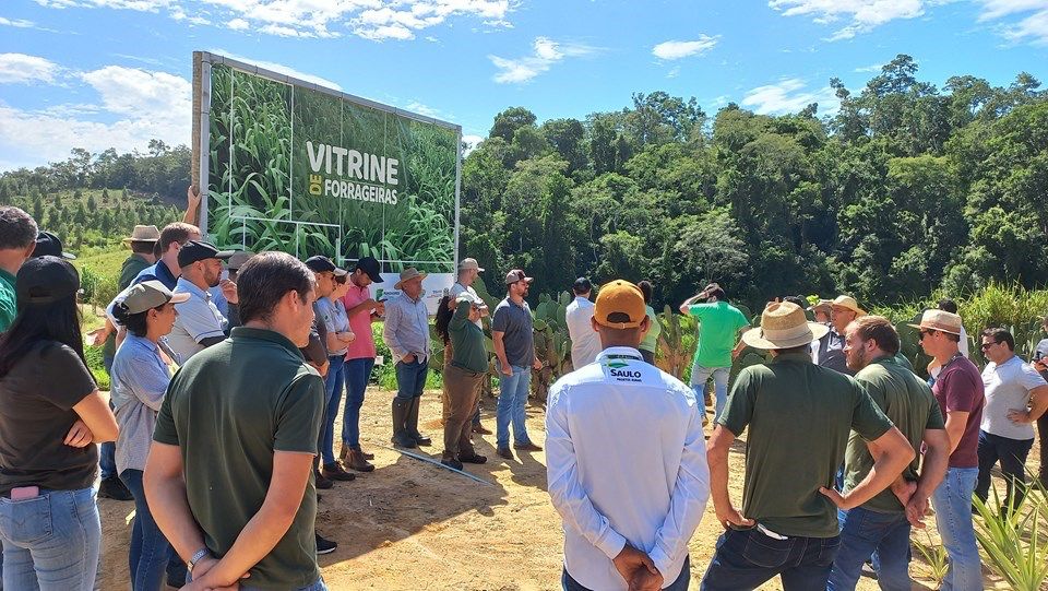 Capacitações do Incaper Impulsionam Produção e Renda de Pecuaristas, Revela Pesquisa