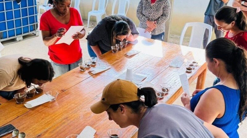 Iniciativa Mulheres do Café Investe em Cursos para Cafés Especiais e Sucessão Familiar