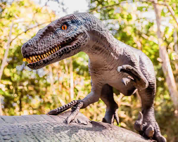 Guarapari Receberá Filial do ‘Jurassic Park Brasileiro’ em 2025