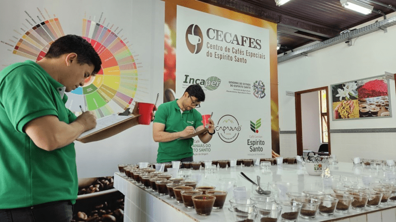 Inscrições abertas para o 3º Prêmio de Cafés Especiais do ES