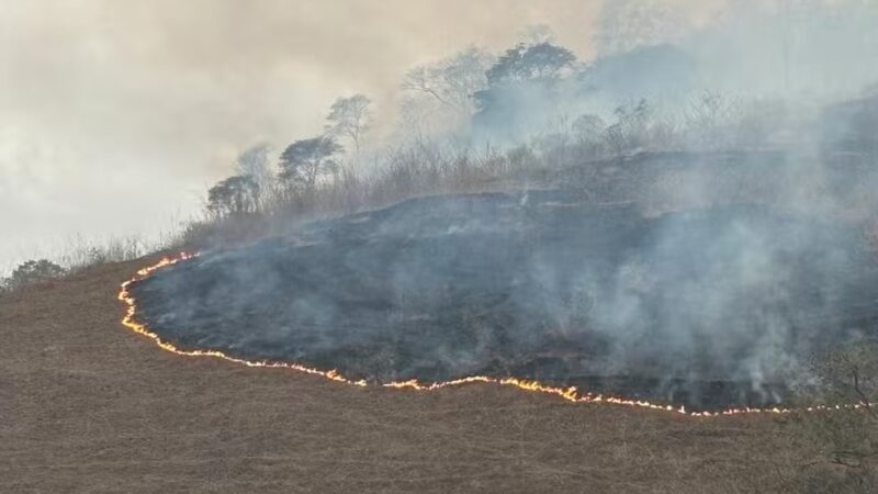 Segunda Ocorrência de Incêndio no Parque Mata das Flores