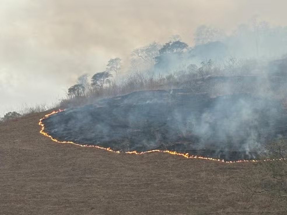 Segunda Ocorrência de Incêndio no Parque Mata das Flores