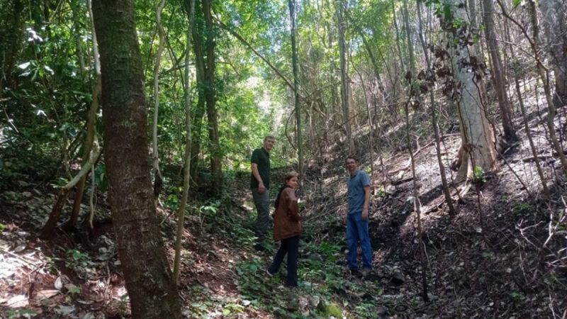 Pesquisadores colaboram com o Iema na avaliação e recuperação do Parque Estadual Mata das Flores, em Castelo