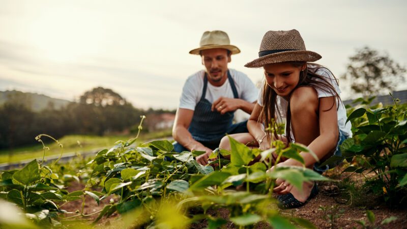 Anchieta destina mais de 1 milhão para investir na agricultura familiar