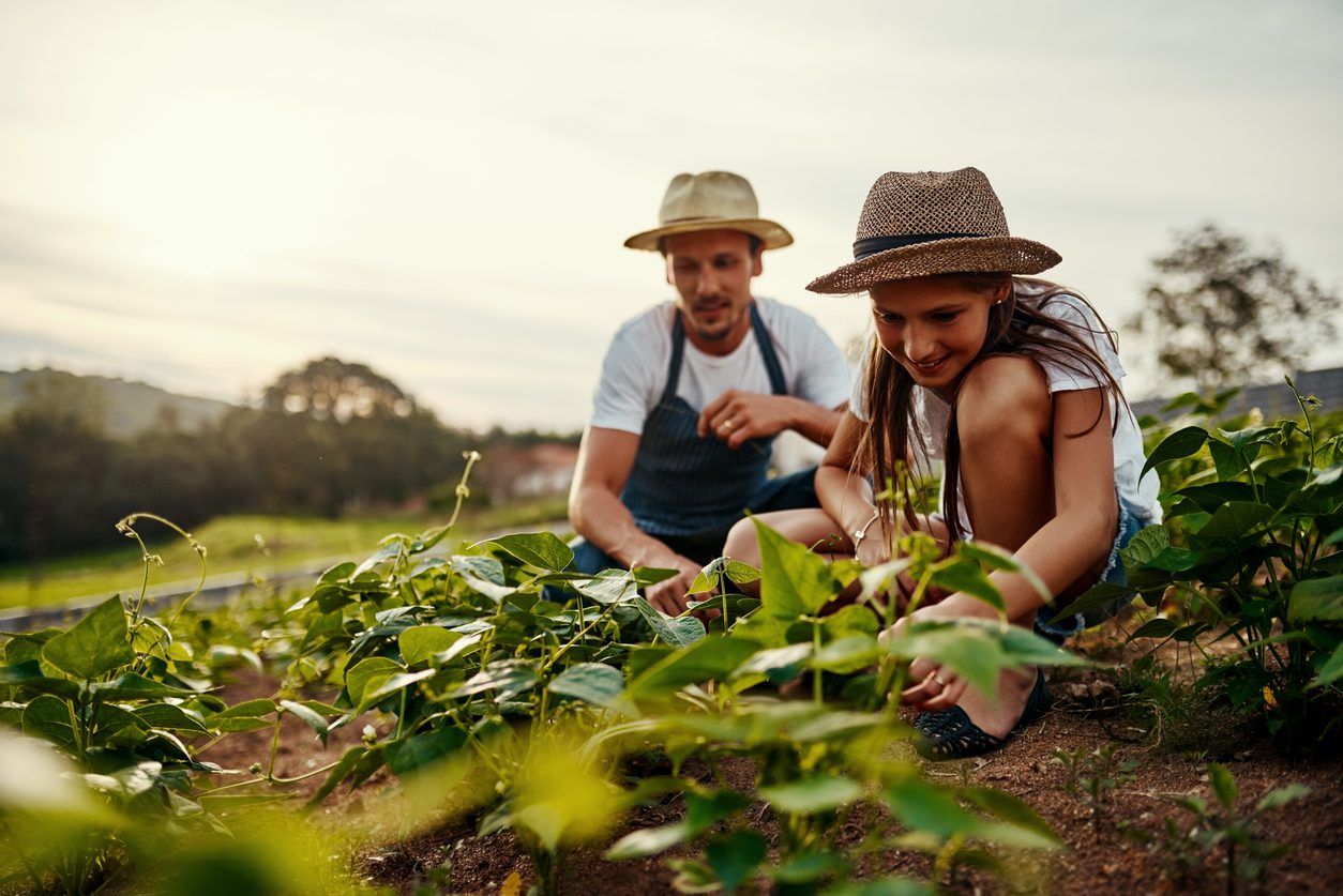 Anchieta destina mais de 1 milhão para investir na agricultura familiar